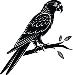 Parrot Silhouette, Vector Design, Parrot Icon