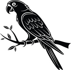 Parrot Silhouette, Vector Design, Parrot Icon