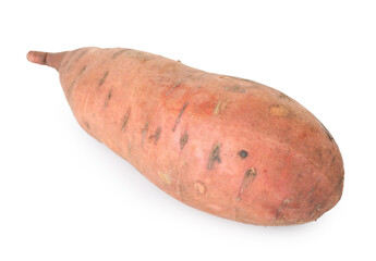 One fresh sweet potato isolated on white. Vegetable root