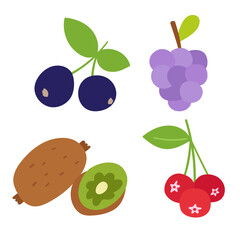 Blackcurrant, grape, kiwi, berries. Set of colorful fruits. Isolated icons. Illustrations on white background.
