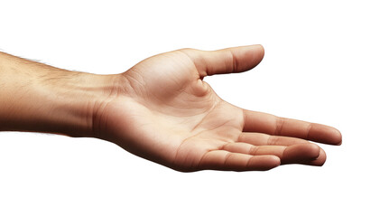 Young Woman's Well-Cared Hand Displaying Gesture of Offering Isolate on Transparent Background