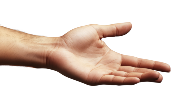 Young Woman's Well-Cared Hand Displaying Gesture of Offering Isolate on Transparent Background