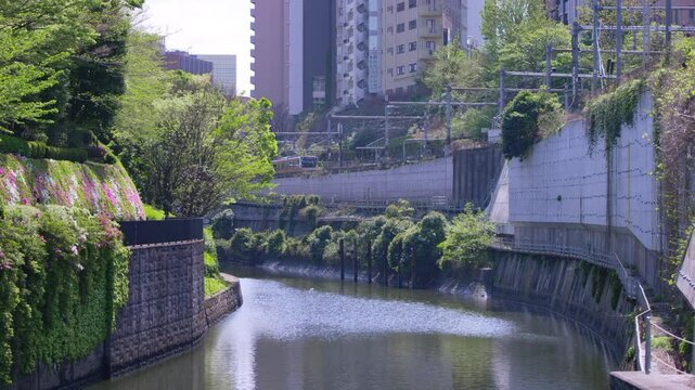 Kanda River,Moat,Chuo Line,Train,City,Skyscrapers,Trees,Deep Green