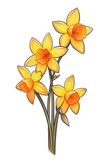 Fototapeta premium Bright and Cheerful Daffodil Flowers with Orange Centers in a Beautiful Outline Illustration