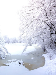 Snowy landscape with a frozen river and trees