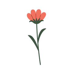 Obraz premium Red Flower, poppy isolated on white background. Doodle style illustration. Hand drawn Vector icon.