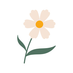 Flower of white Chamomile, daisy isolated on white background. Doodle style illustration. Hand drawn Vector icon.
