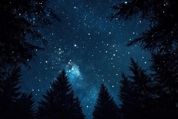 Naklejka premium velvet midnight sky dotted with twinkling stars, framed by shadowy treetops, casting a serene hush over a quiet wilderness expanse.