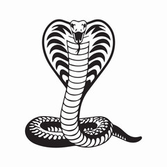 black cobra snake vector illustration white background.