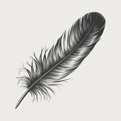Obraz premium Intricate Feather Delicate Engraving Illustration