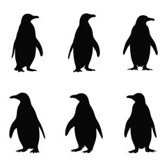 Naklejka premium penguin silhouettes set 