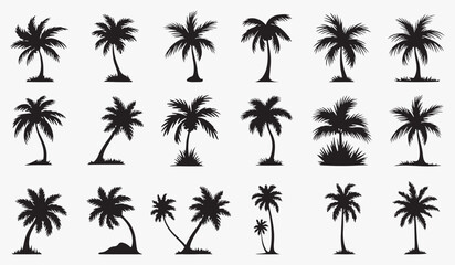 palm tree silhouette set, and a variety of palm tree illustrations in different poses and styles.black silhouette palm tree collection – 20 tropical tree designs