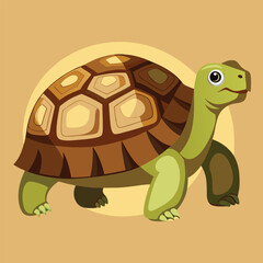 tortoise vector