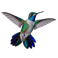 Obraz premium Green and Blue Hummingbird Hovering in Mid-Ai transparent background