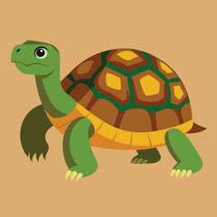 tortoise vector