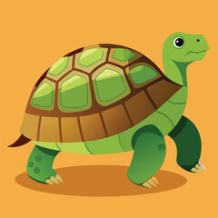 tortoise vector