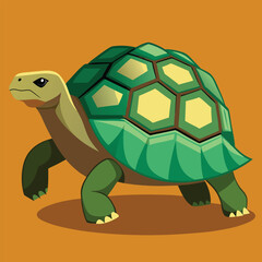 tortoise vector