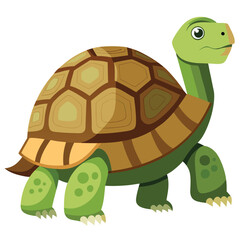 tortoise vector