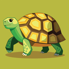 tortoise vector