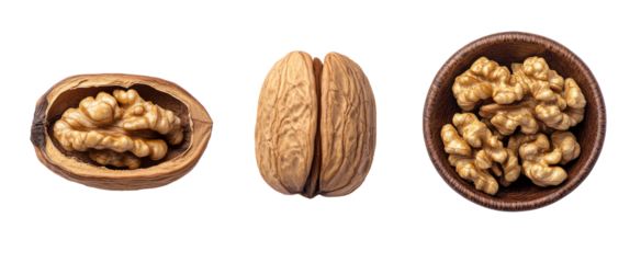Collection of delicious walnuts, isolated on white background