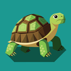 tortoise vector