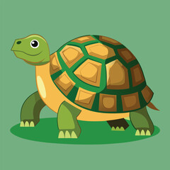 tortoise vector
