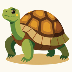 tortoise vector
