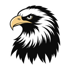eagle head vector illustration
