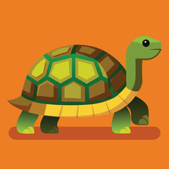 tortoise vector