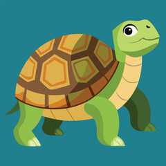 tortoise vector