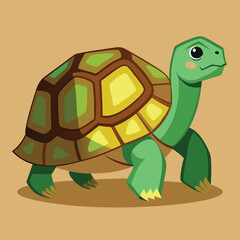 tortoise vector