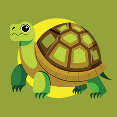 tortoise vector