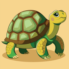 tortoise vector