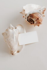 Card blank mockup paper and Seashells on beige   background . Copy space. Greeting card mock up.