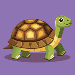 tortoise vector