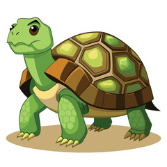 tortoise vector