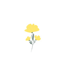 Yellow flower, illustration 