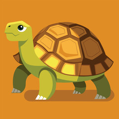 tortoise vector