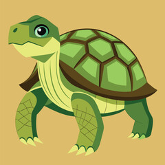 tortoise vector