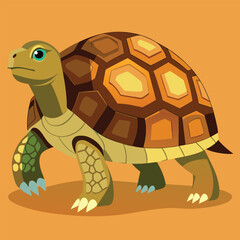 tortoise vector