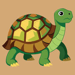 tortoise vector