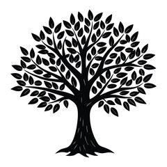 tree with leaves white background 