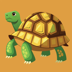 tortoise vector