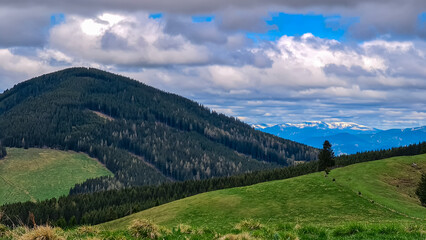 Fototapeta premium Verdant rolling hills across Plankogel, Styria, Austria, under partly cloudy sky. Patches of coniferous trees dot the landscape, creating a textured, scenic view of the Austrian countryside. Tranquil