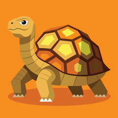 tortoise vector