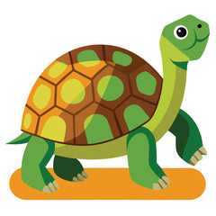 tortoise vector