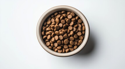 Fototapeta premium Dry Pet Food. Dog Dry Food. Cat Food