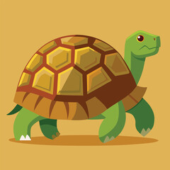 tortoise vector