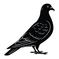 Dove or Pigeon Black Silhouette