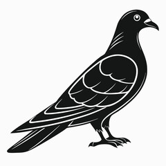 Black Bird Silhouette Pigeon
